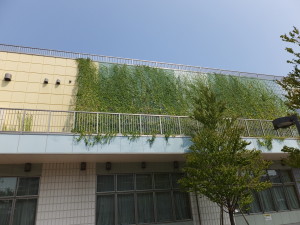 DSCF0001